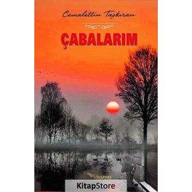 Çabalarım - Cemalettin Taşkıran