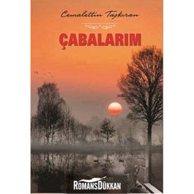 Çabalarım - Cemalettin Taşkıran