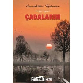 Çabalarım - Cemalettin Taşkıran