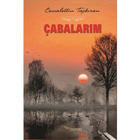 Çabalarım - Cemalettin Taşkıran