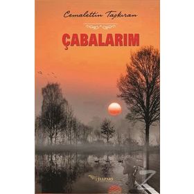 Çabalarım - Cemalettin Taşkıran