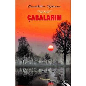Çabalarım - Cemalettin Taşkıran