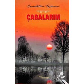 Çabalarım - Cemalettin Taşkıran
