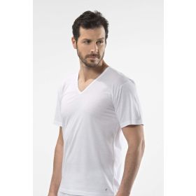 Cacharel 1202 V Yaka Erkek Atlet