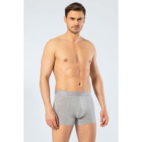 Cacharel 1405 Gri Erkek Boxer