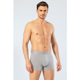 Cacharel 1405 Gri Erkek Boxer