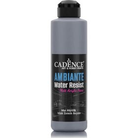 Cadence 250 ml Koyu Gri Ambiente Islak Zemin Boyası+ 10 gr Katalizör