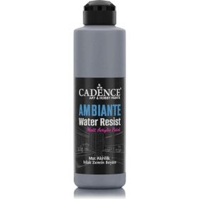 Cadence 250 ml Koyu Gri Ambiente Islak Zemin Boyası+ 10 gr Katalizör