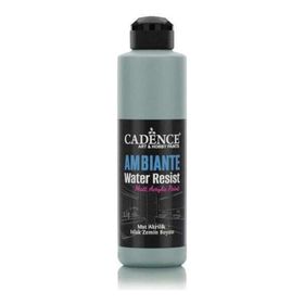 Cadence 250 ml Küf Yeşili Ambiente Islak Zemin Boyası + 10 gr Katalizör