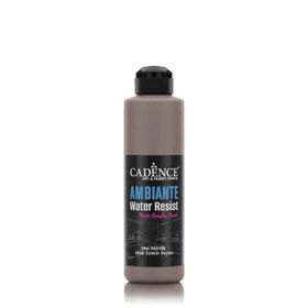 Cadence 250 ml Vizon Ambiente Islak Zemin Boyası + 10 gr Katalizör