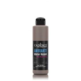Cadence 250 ml Vizon Ambiente Islak Zemin Boyası + 10 gr Katalizör