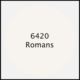 Cadence 6420 Romans 500 ml Premium Akrilik