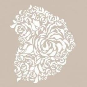 Cadence A4 AS-484 Stencil