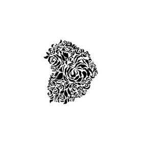 Cadence A4 AS-484 Stencil