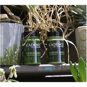 Cadence Açık Yeşil 90 ml N:3633 Yosun Efekt Boyası