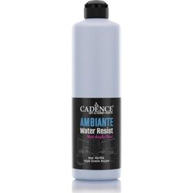Cadence Ambiante AW 08 Arduvaz Gri 250 ml Islak Zemin Boyası+10 gr Katalizor