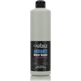 Cadence Ambiante AW 13 Ihlamur Yeşili 500 ml Islak Zemin Boyası+20 gr Katalizor