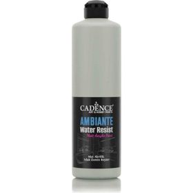 Cadence Ambiante AW 13 Ihlamur Yeşili 500 ml Islak Zemin Boyası+20 gr Katalizor