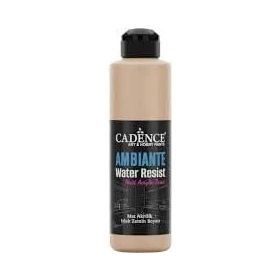 Cadence Ambiante AW 16 Karton 250 ml Islak Zemin Boyası+10 gr Katalizor