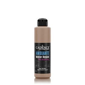 Cadence Ambiante AW 16 Karton 250 ml Islak Zemin Boyası+10 gr Katalizor