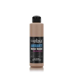 Cadence Ambiante AW 16 Karton 250 ml Islak Zemin Boyası+10 gr Katalizor