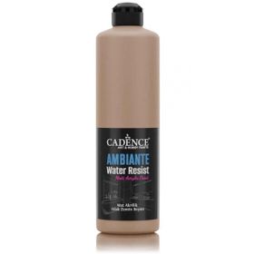 Cadence Ambiante AW 16 Karton 500 ml Islak Zemin Boyası+20 gr Katalizor