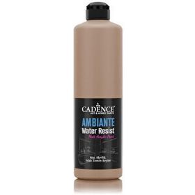 Cadence Ambiante AW 16 Karton 500 ml Islak Zemin Boyası+20 gr Katalizor