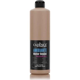 Cadence Ambiante AW 16 Karton 500 ml Islak Zemin Boyası+20 gr Katalizor