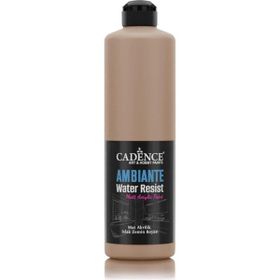 Cadence Ambiante AW 16 Karton 500 ml Islak Zemin Boyası+20 gr Katalizor