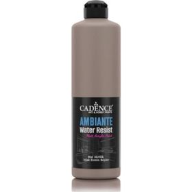 Cadence Ambiante AW 17 Vizon 250 ml Islak Zemin Boyası+10 gr Katalizor