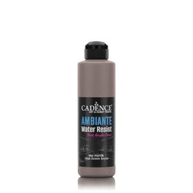 Cadence Ambiante AW 17 Vizon 250 ml Islak Zemin Boyası+10 gr Katalizor