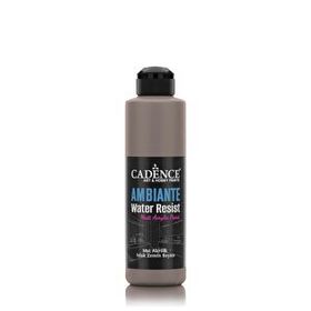 Cadence Ambiante AW 17 Vizon 250 ml Islak Zemin Boyası+10 gr Katalizor