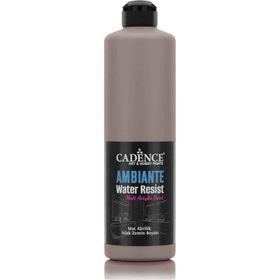 Cadence Ambiante AW 17 Vizon 500 ml Islak Zemin Boyası+20 gr Katalizor