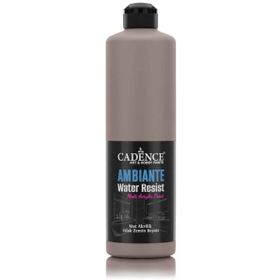 Cadence Ambiante AW 17 Vizon 500 ml Islak Zemin Boyası+20 gr Katalizor