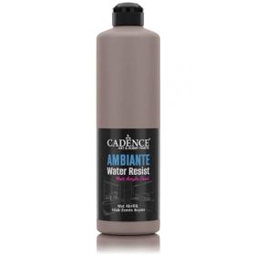 Cadence Ambiante AW 17 Vizon 500 ml Islak Zemin Boyası+20 gr Katalizor