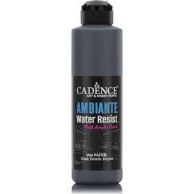 Cadence Ambiante AW23 Antrasit Siyah 250 ml Islak Zemin Boyası+10 gr Katalizor