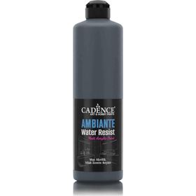 Cadence Ambiante AW23 Antrasit Siyah 500 ml Islak Zemin Boyası+20 gr Katalizor