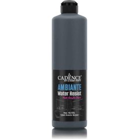 Cadence Ambiante AW23 Antrasit Siyah 500 ml Islak Zemin Boyası+20 gr Katalizor