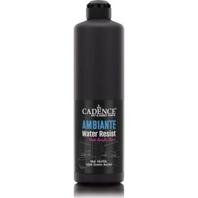 Cadence Ambiante AW24 Siyah 250 ml Islak Zemin Boyası+10 gr Katalizor