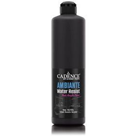 Cadence Ambiante AW24 Siyah 500 ml Islak Zemin Boyası+20 gr Katalizor