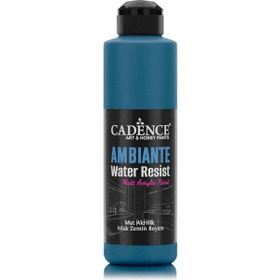 Cadence Ambiente AW-11 Fresco 250 ml Suya Dayanıklı Boya