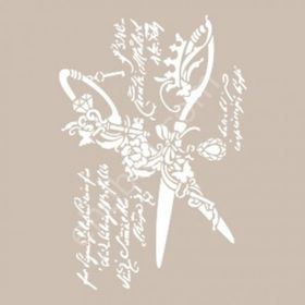Cadence AS534 A4 Stencil