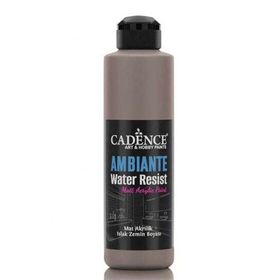 Cadence AW17 Ambiente Mat Akrilik Vizon 250 ml Islak Zemin Boyası