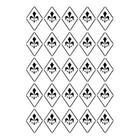 Cadence BN-22 25x35 cm Stencil