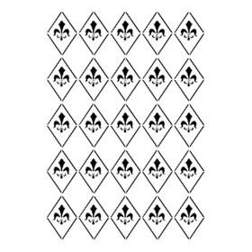 Cadence BN-22 25x35 cm Stencil