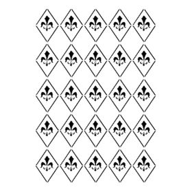 Cadence BN-22 25x35 cm Stencil