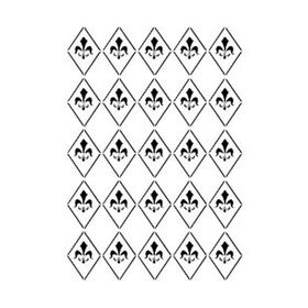Cadence BN-22 25x35 cm Stencil