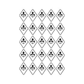 Cadence BN-22 25x35 cm Stencil