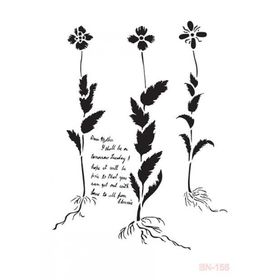 Cadence BN156 Bn Serisisi 25x35 cm Stencil