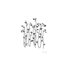 Cadence BN160 25x36 cm BN Serisi Stencil